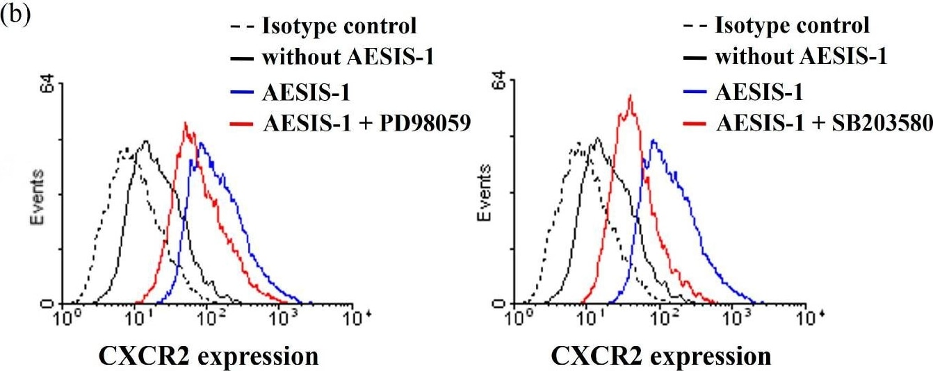 Detection of CXCR2/IL-8RB by Flow Cytometry