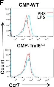 Detection of j0ydj3p4acqlntjtqirg.jpg by Flow Cytometry