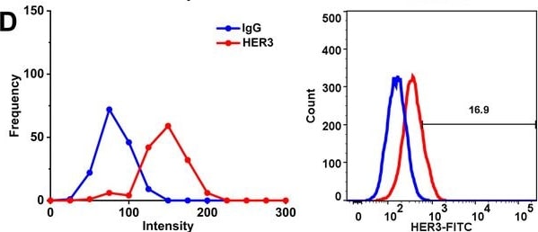 Detection of ErbB3/Her3 by Flow Cytometry