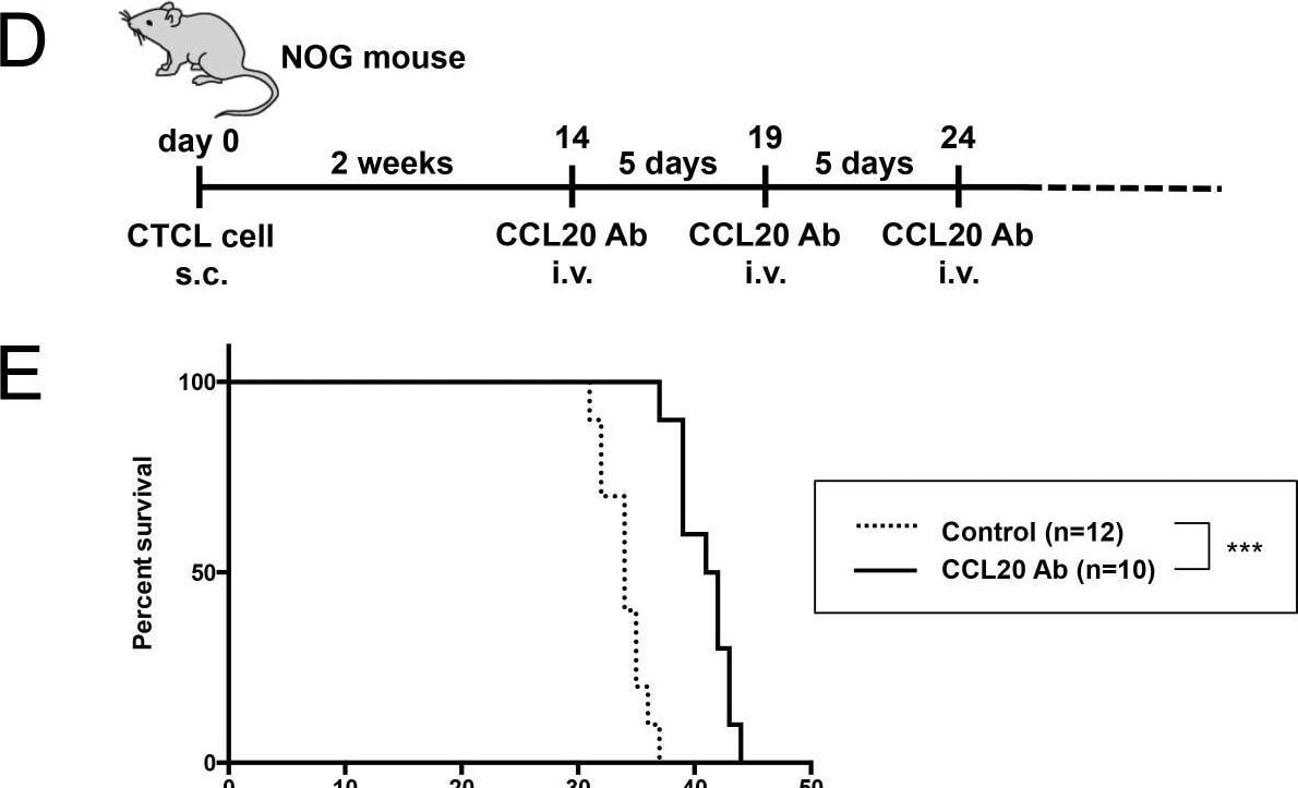 Detection of CCL20/MIP-3 alpha by Flow Cytometry