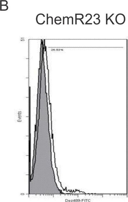 Detection of ChemR23/CMKLR1 by Flow Cytometry