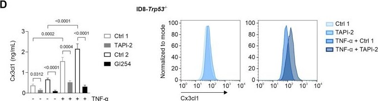 Detection of CX3CL1/Fractalkine by Flow Cytometry