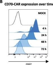 Detection of CD27/TNFRSF7 by Flow Cytometry