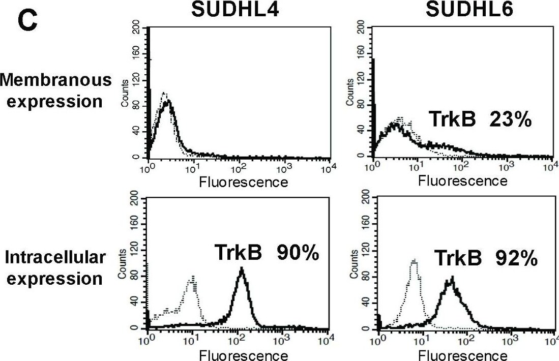 Detection of TrkB by Flow Cytometry