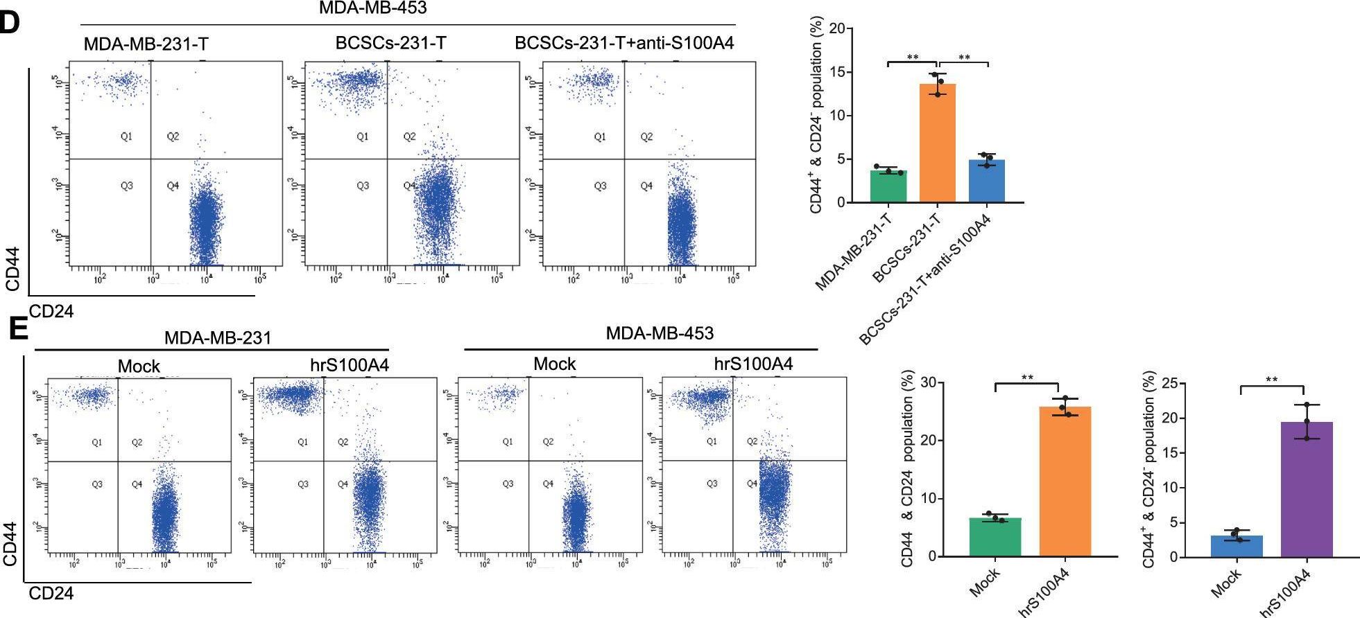 Detection of S100A4 by Flow Cytometry