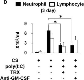 Detection of Mouse GM-CSF by In vivo assay