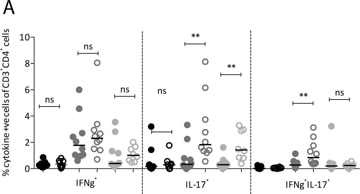 Detection of Mouse IL-17/IL-17A by Flow Cytometry
