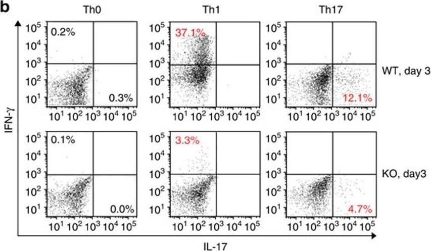 Detection of Mouse IFN-gamma by Flow Cytometry