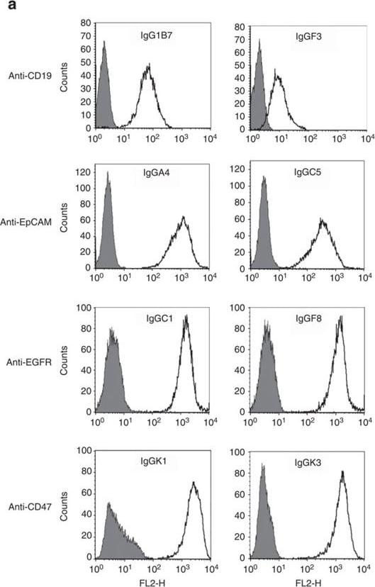 Detection of Human CD19 by Flow Cytometry