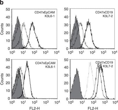 Detection of Human CD19 by Flow Cytometry