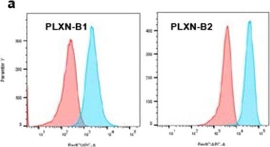 Detection of Plexin B2 by Flow Cytometry