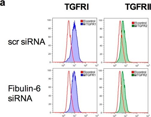Detection of Mouse TGF-beta RI/ALK-5 by Flow Cytometry