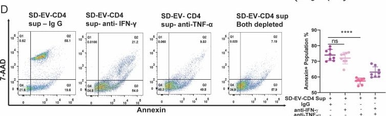 Detection of TNF-alpha by Flow Cytometry