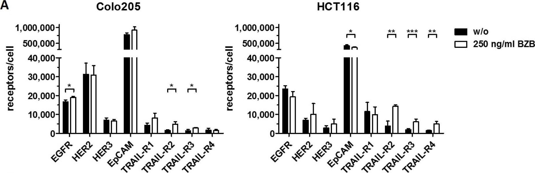 Detection of Human TRAILR2/TNFRSF10B by Flow Cytometry