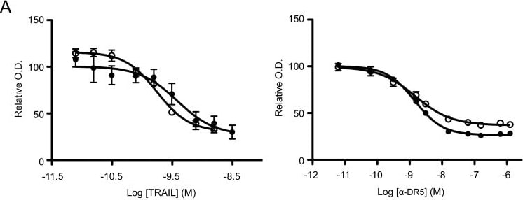 Detection of Human TRAILR2/TNFRSF10B by Functional