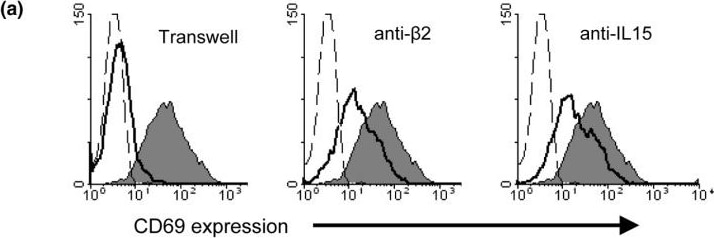 Detection of Human IL-15 by Flow Cytometry
