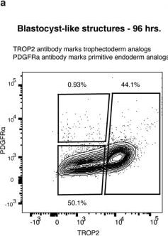 Detection of TROP-2 by Flow Cytometry