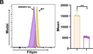 Detection of SREBP2 by Flow Cytometry