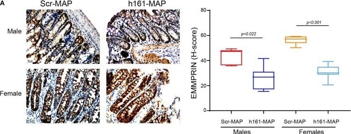 Detection of EMMPRIN/CD147 by Immunohistochemistry