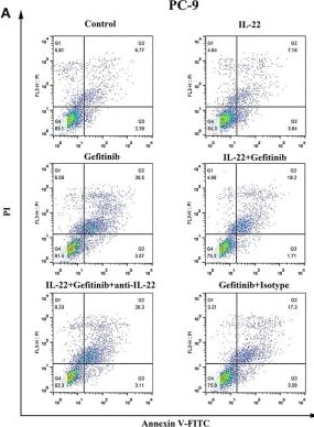 Detection of bybvyayt6vettecbxqoz.jpg by Flow Cytometry