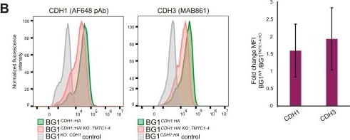 Detection of P-Cadherin by Flow Cytometry