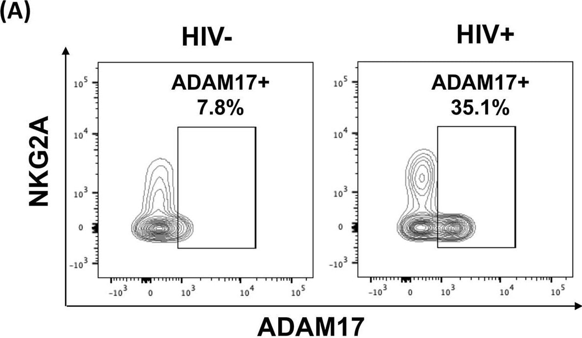 Detection of TACE/ADAM17 Ectodomain by Flow Cytometry
