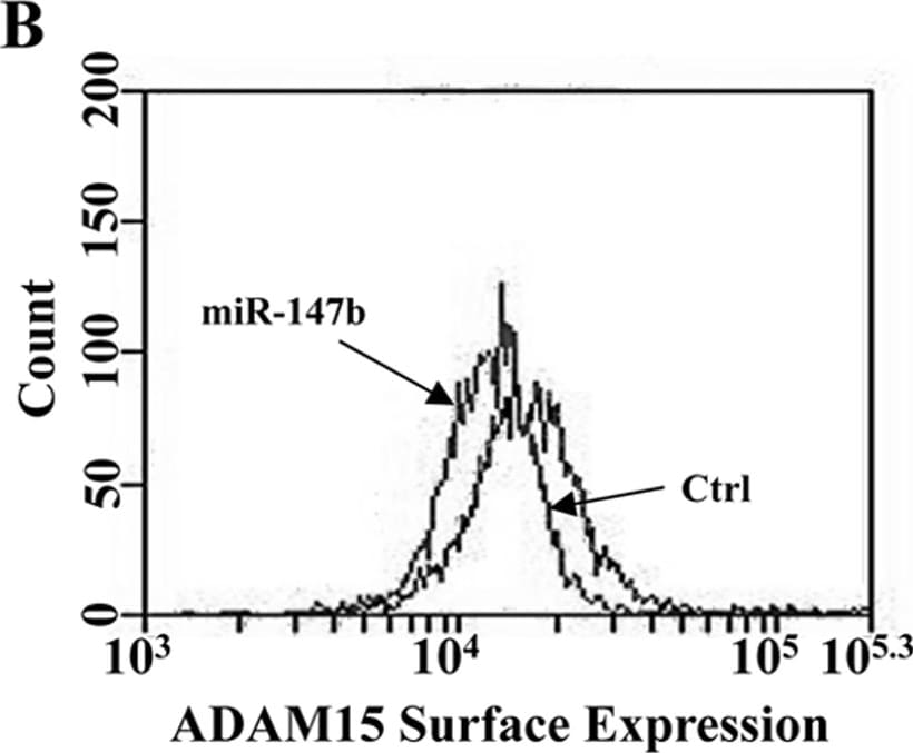 Detection of Human ADAM15 by Flow Cytometry