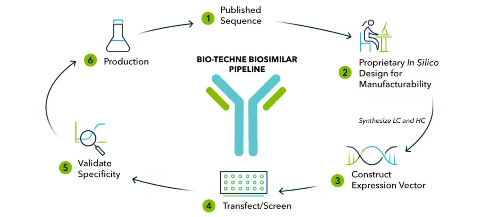 Human IL‑17/IL‑17A (Research Grade Secukinumab Biosimilar) Antibody