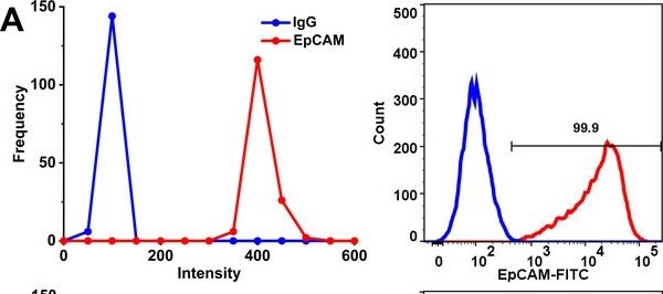 Detection of EpCAM/TROP1 by Flow Cytometry