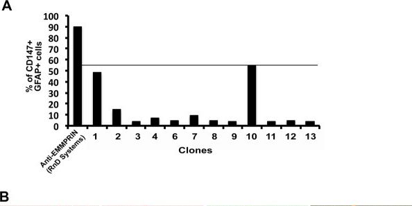 Detection of Human EMMPRIN/CD147 by Flow Cytometry