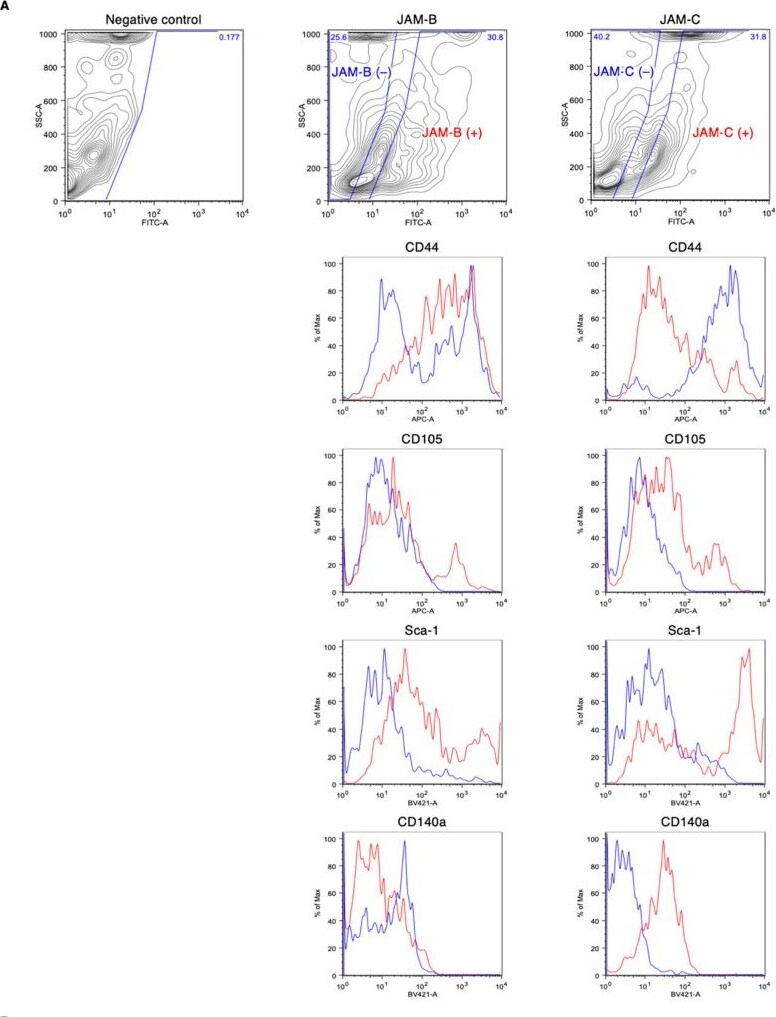 Detection of iz3qwgav7zcxfwh7li0e.jpg by Flow Cytometry