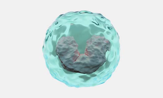 R&D Systems CD4+ T cell