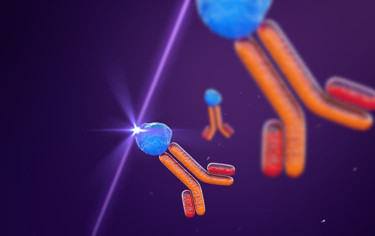 mFluor™ Violet Conjugated Antibodies