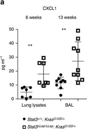 Detection of Mouse CXCL1/GRO alpha/KC/CINC-1 by ELISA