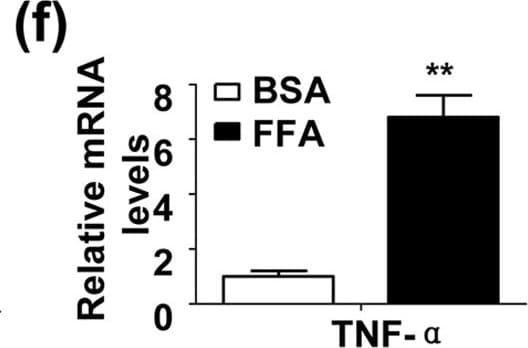 Mouse TNF-alpha ELISA Kit - Quantikine