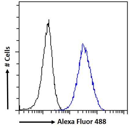 ARL2 Antibody