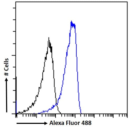 Serpin I1/Neuroserpin Antibody