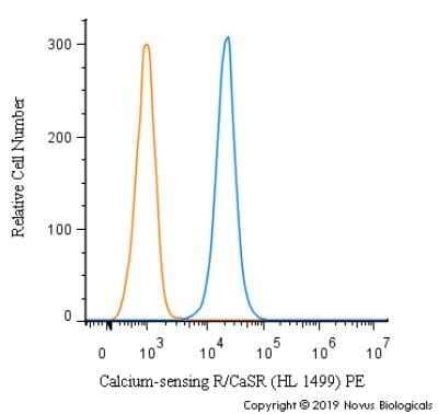 Calcium-sensing R/CaSR Antibody (HL 1499) - BSA Free