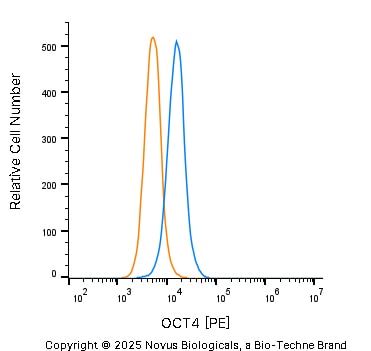 OCT4 Antibody [PE]