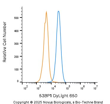 53BP1 Antibody [DyLight 650]