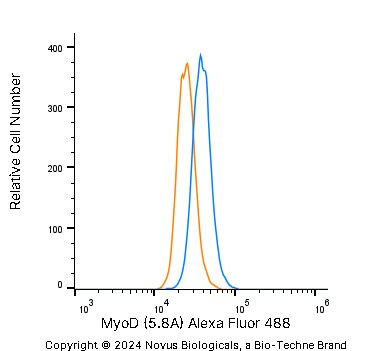 MyoD Antibody (5.8A) [Alexa Fluor® 488]