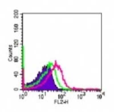TLR4 Antibody (MTS510)