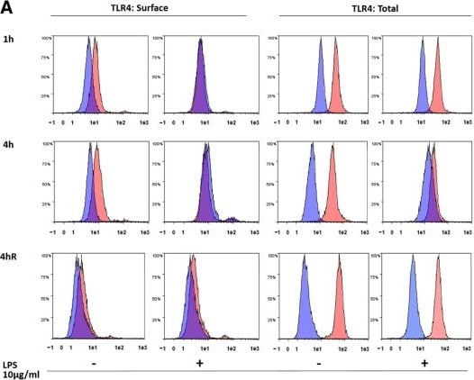 TLR4 Antibody (76B357.1) - BSA Free