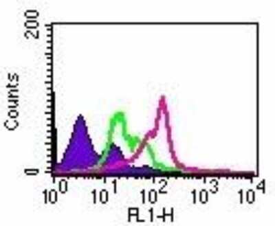 TLR2 Antibody (TL2.1) - BSA Free