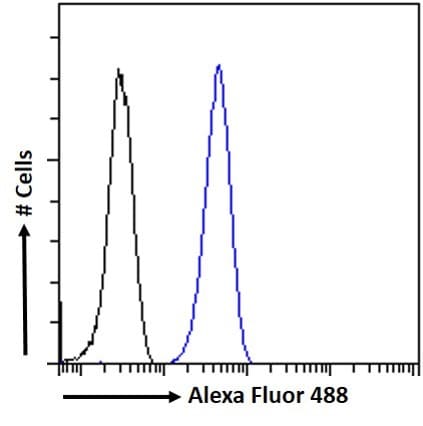 PGC1 alpha Antibody