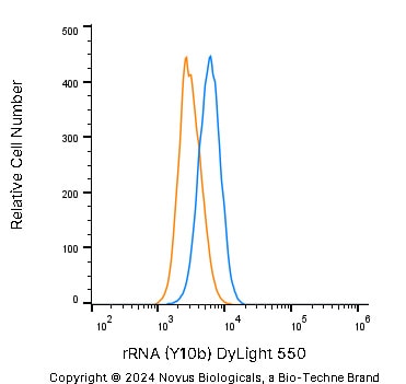 rRNA Antibody (Y10b) [DyLight 550]