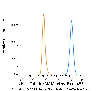 alpha Tubulin Antibody (DM1A) [Alexa Fluor® 488]