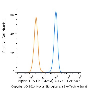 alpha Tubulin Antibody (DM1A) [Alexa Fluor® 647]