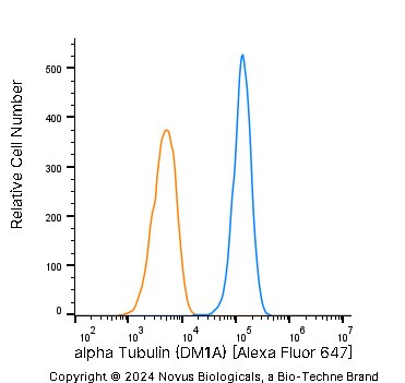 alpha Tubulin Antibody (DM1A) [Alexa Fluor® 647]