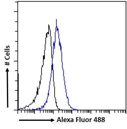 MTMR9 Antibody